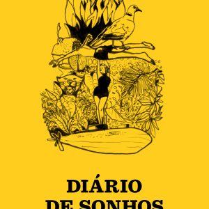 diarios de sonho amarelo 01