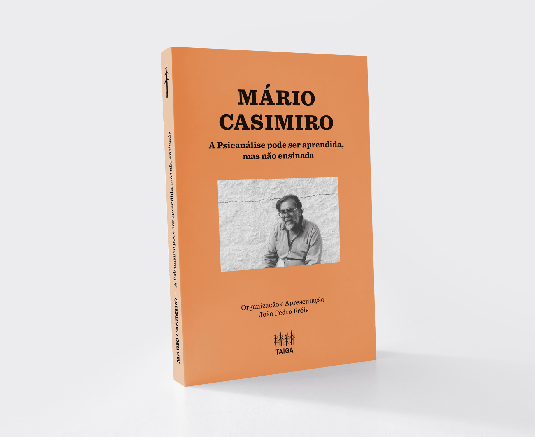 a psicanalise capa 3d